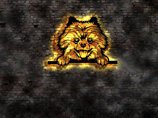 Pomerian Zwergspitz LED Wandbild aus Holz Welpen Welpe Buch Hund Dog Zucht Züchter Führleine Plüschtier Skulptur Spielzeug