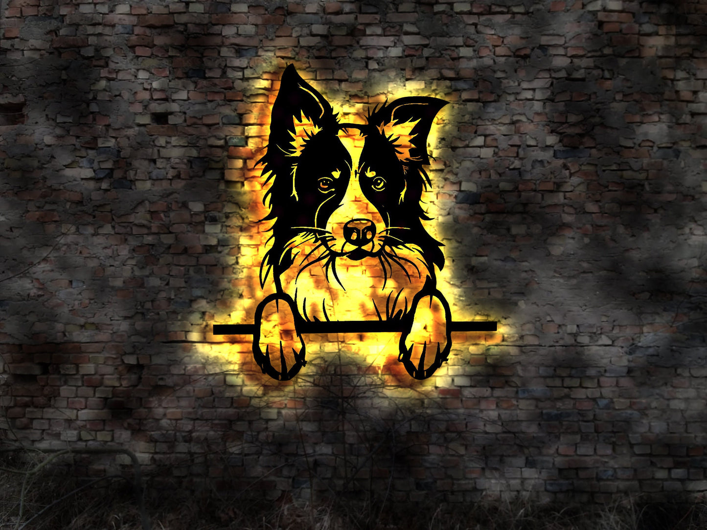 3D LED Border Collie aus Holz Welpen Welpe Buch Hund Dog Zucht Züchter Geschirr Futternapf Leine Leckerlies Halsband Stoffhund Plüschtier