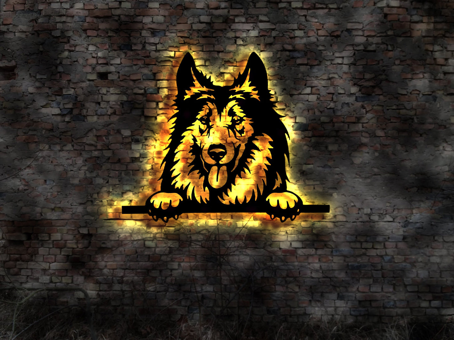 Schild Holzschild   Collie LED Wandbild aus Holz Welpen Welpe Buch Hund Dog Zucht Züchter Geschirr Futternapf Leine Leckerlies Halsband