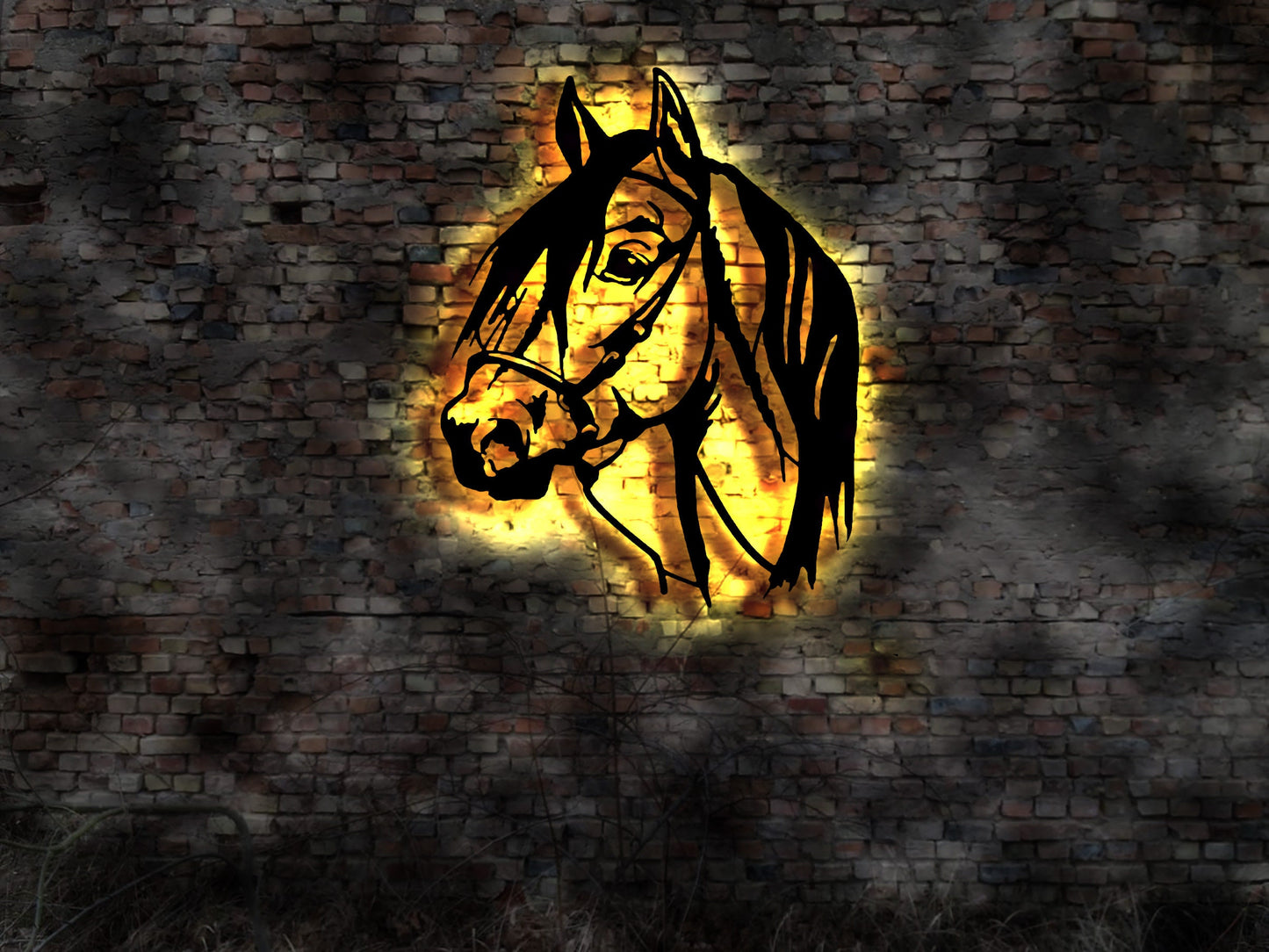 Pferd DVD Dressur Reiten Ponny Reiterhof Pferdestall Pferdesport Geschirr Hufe Neonreklame Leuchtschild Bardeko Bar Wandlampe