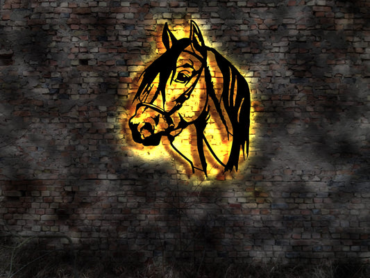 Pferd DVD Dressur Reiten Ponny Reiterhof Pferdestall Pferdesport Geschirr Hufe Neonreklame Leuchtschild Bardeko Bar Wandlampe