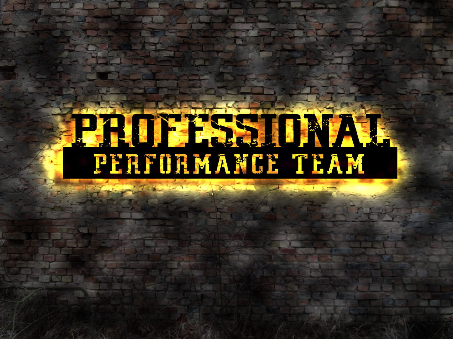 Professional Performance Team Schild Limited  Aufkleber Sticker sign  Aufnäher Fahne Aufsteller Team Tuner Tuning Chiptuning Auto Tuner