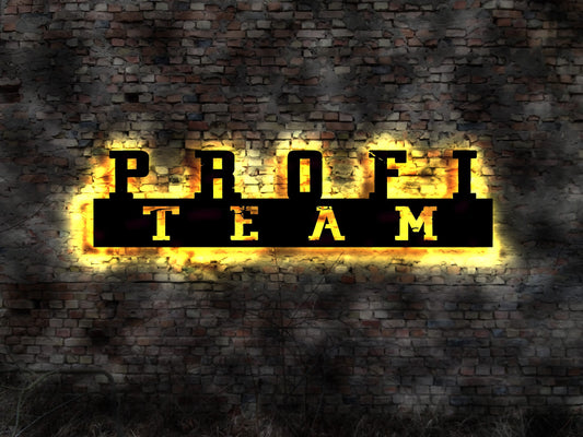 Profi Team LED Leuchtschild Handwerker Allrounder Geselle Meister Maurer Zimmerer Dachdecker Bau Firma Holzbau Putzer Abriss Werkzeug Bagger