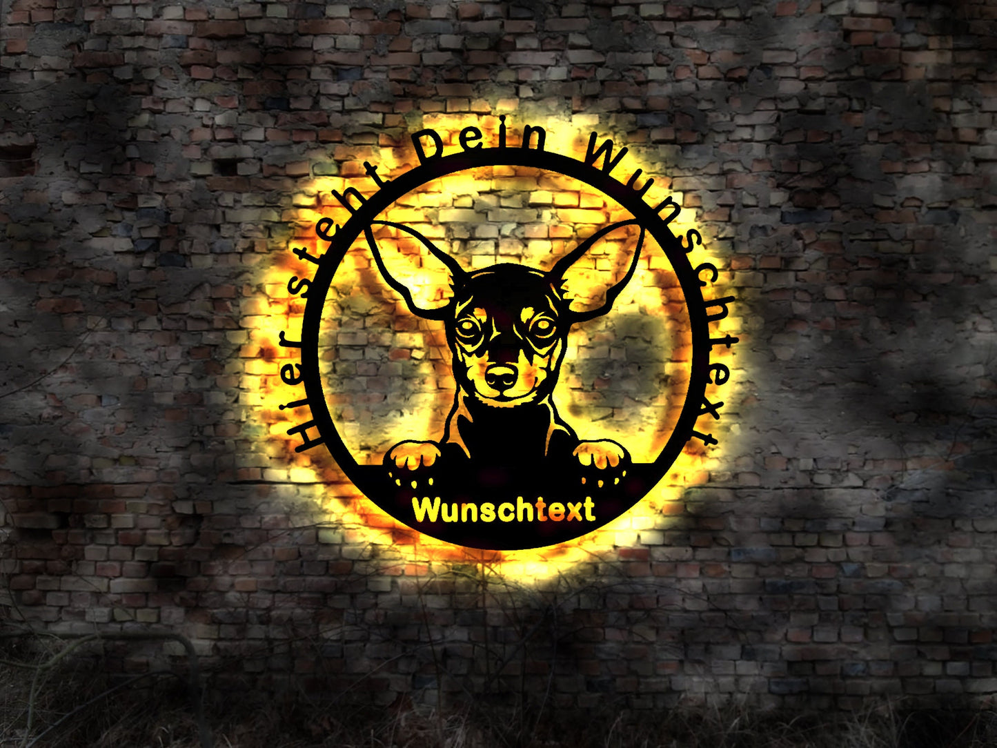 Verein Zuchtverein Miniaturpinscher Pinscher Zwergpinscher LED Wandbild aus Holz Welpen Welpe Buch Hund Dog Zucht Züchter Führleine
