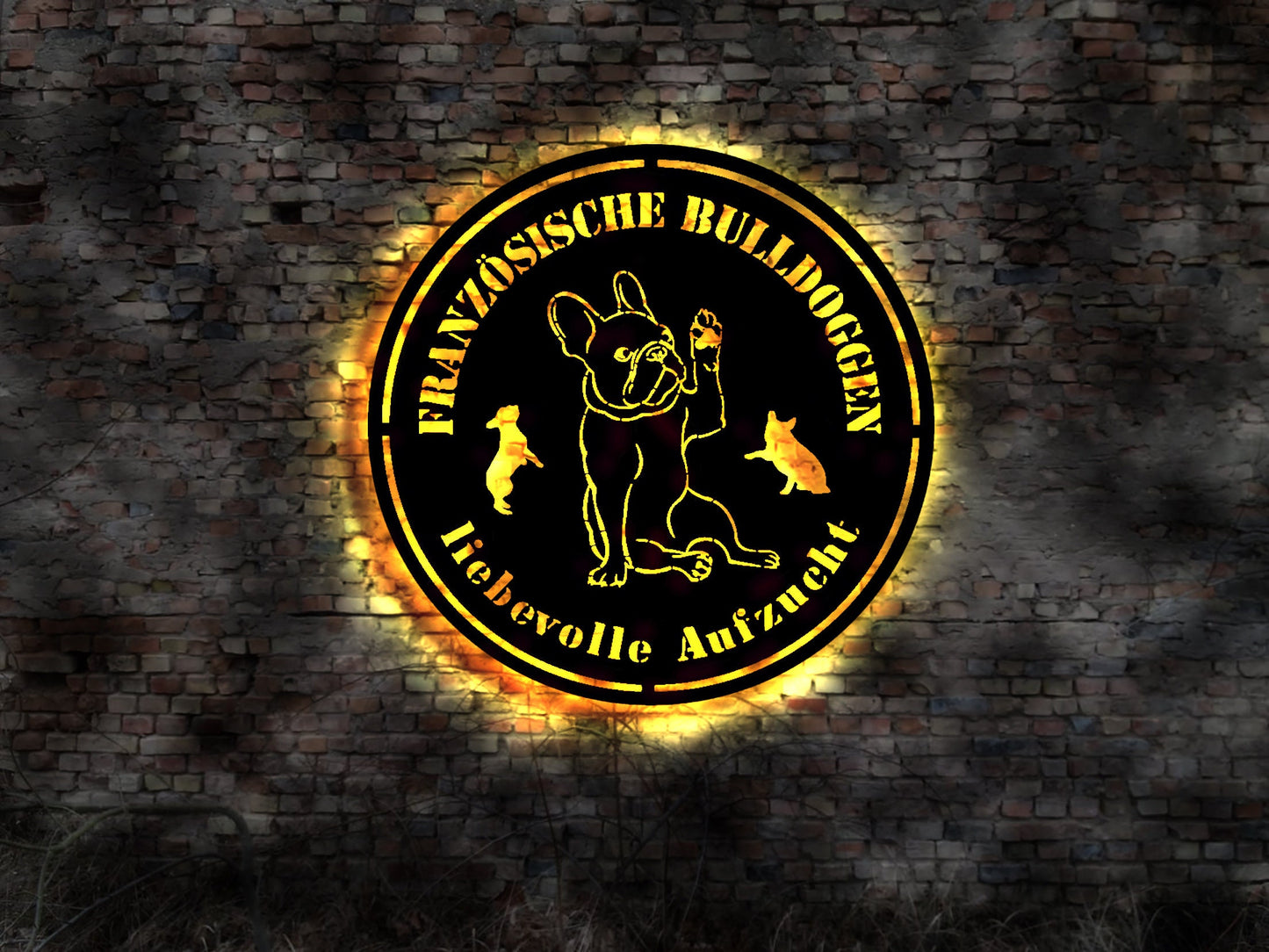 Aufzucht Französische Bulldogge LED Wandbild aus Holz Welpen Welpe Buch Hund Dog Zucht Züchter Geschirr Futternapf Leine Leckerlies Halsband