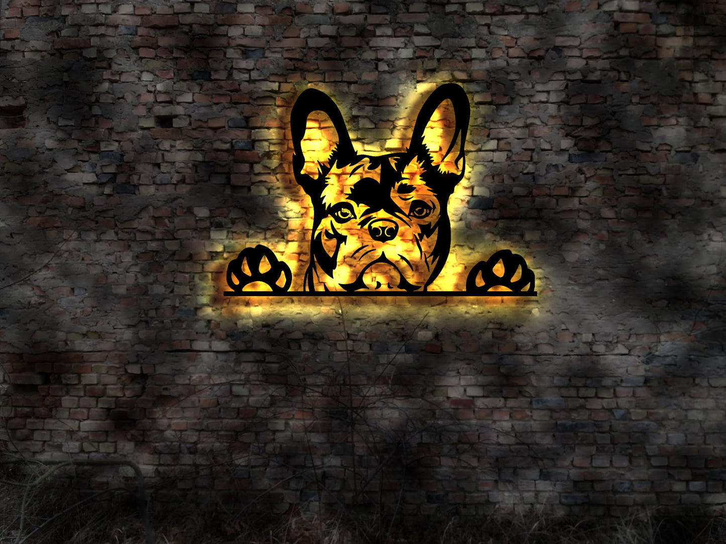3D LED Französiche Bulldogge Logo Welpen Welpe Buch Hund Dog Zucht Züchter Geschirr Futternapf Leine Leckerlies Bulldog français Halsband