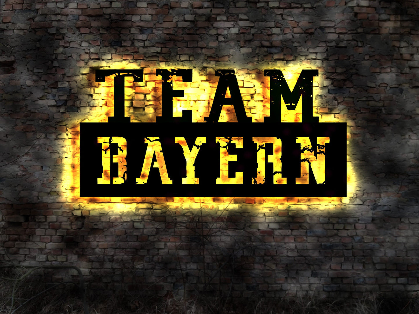 LED Leuchtreklame Schild Team Bayern