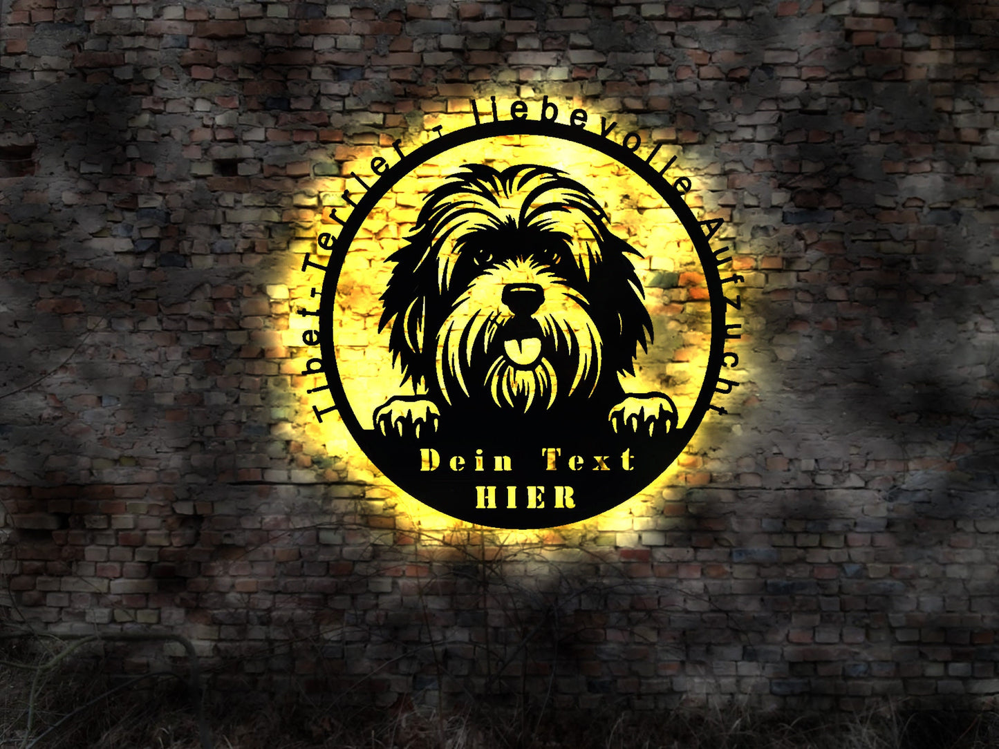 Tibet - Terrier Bull LED Wandbild aus Holz Welpen Welpe Buch Hund Dog Zucht Züchter