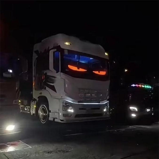 LKW PKW bewegliche Augen Frontscheibe Trucker Truck Spedition Auto