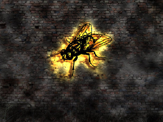Fliege Insekt Insekten Buch Mücke Spinne Skulptur Wandbild Bild Kunst gepresst Schild Aufkleber Wandtattoo Wandsticker Fliegenklatsche