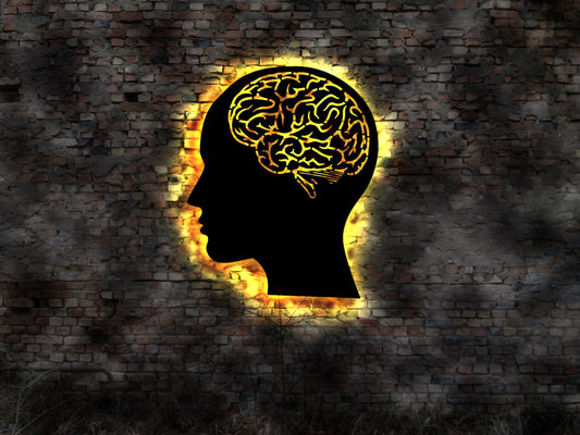 3D Gehirn Mensch menschliches human brain Skelett Hirn Kopf Büste Menschenkopf Brain Head Bust Denkweise Denken Skulptur Modell Silhouette