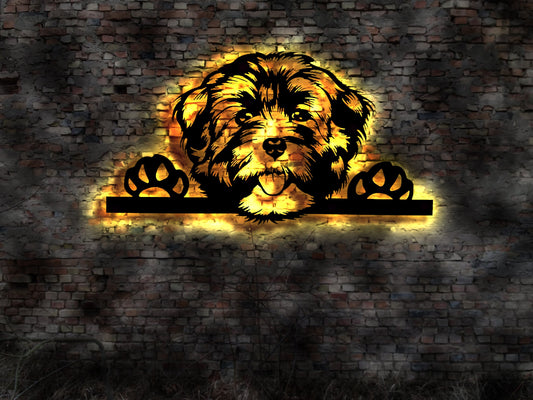 Havaneser LED Wandbild aus Holz Welpen Welpe Buch Hund Dog Zucht Züchter Geschirr Futternapf Leine Leckerlies Halsband