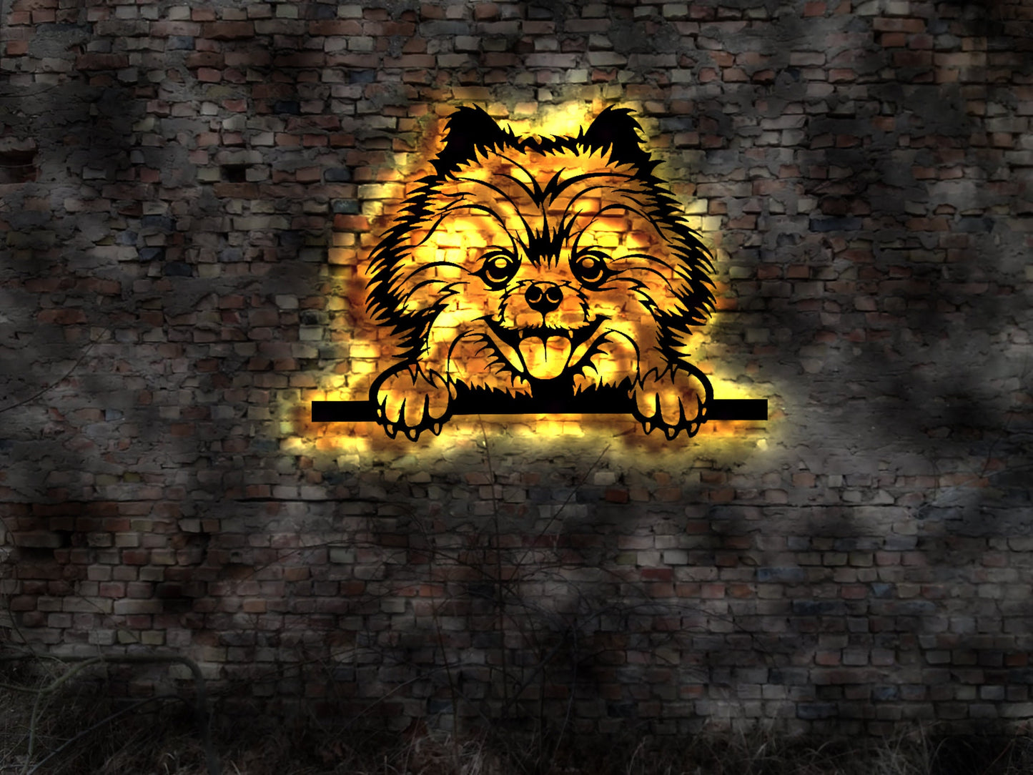 Pomerian Zwergspitz LED Wandbild aus Holz Welpen Welpe Buch Hund Dog Zucht Züchter Führleine Plüschtier Skulptur Spielzeug