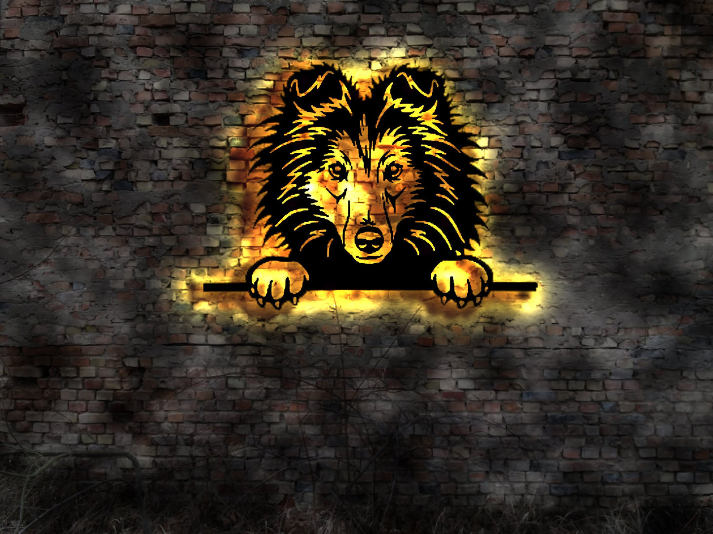 Shetland Sheepdog Sheltie T-Shirt Autoaufkleber Warnschild Schild Futter Leine