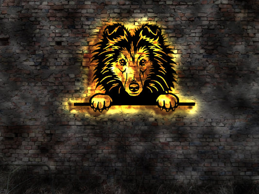 Shetland Sheepdog Sheltie T-Shirt Autoaufkleber Warnschild Schild Futter Leine