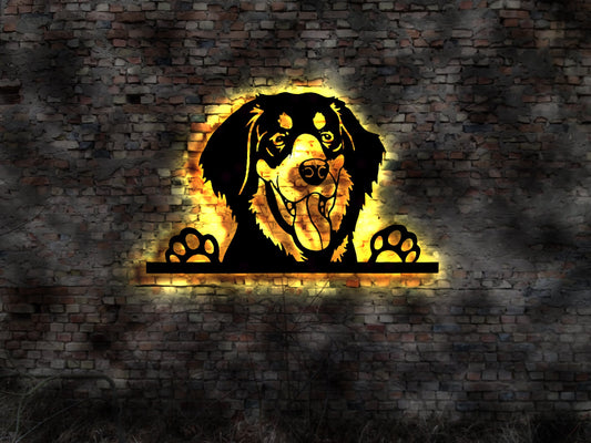 Hovawart Deko no Welpen Halsband Buch Rüde Zucht Bild Hundehütte Hund Hundeleine