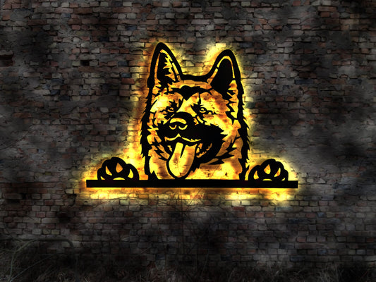 3D LED America Amerika Akita American  Holz Welpen Welpe Buch Hund Dog Zucht Züchter Geschirr Futternapf Leine Leckerlies Halsband