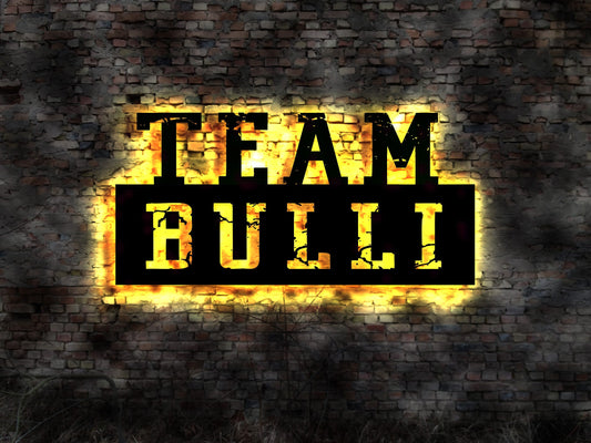 LED Leuchtreklame Schild  Team Bulli