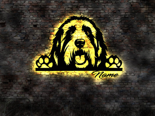 Bearded Collie  LED Wandbild personalisierbares Schild