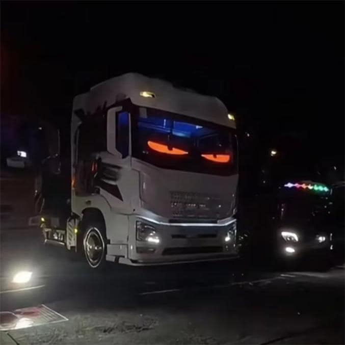 LKW PKW bewegliche Augen Frontscheibe Trucker Truck Spedition Auto